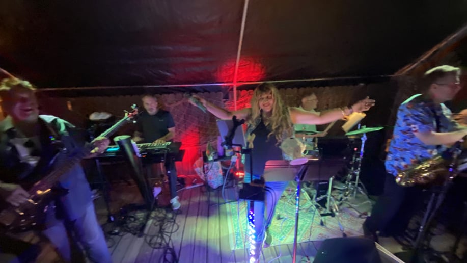 Gallery photo 2 of Pink Spice Band