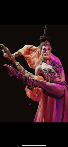 Gallery photo 4 of Hair suspension/ silks / hoop / drag