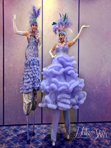 Gallery photo 2 of Hala Circus Arts