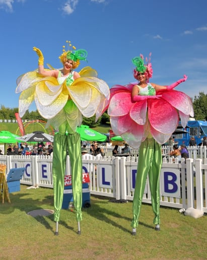 Gallery photo 7 of Hala Circus Arts