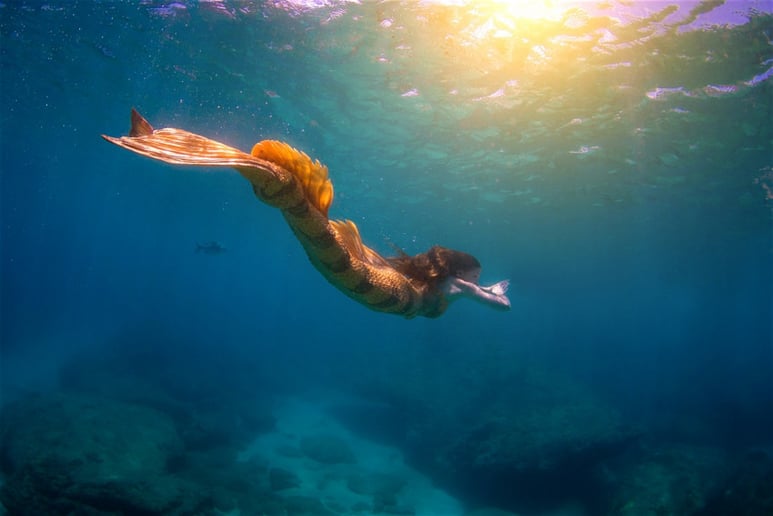 Gallery photo 5 of Haley Mermaid