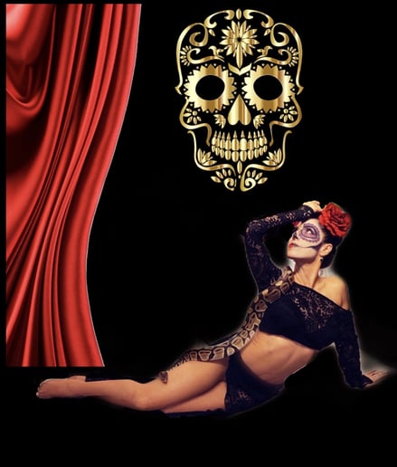 Gallery photo 9 of Halloween Party Entertainment