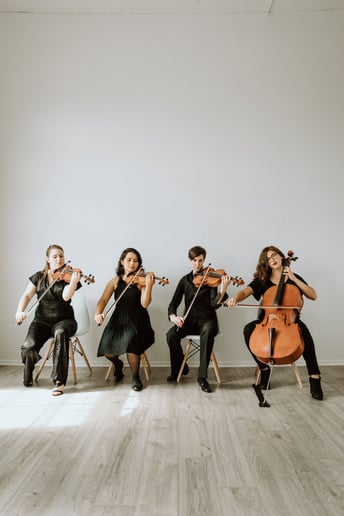 Gallery photo 1 of Boom Island String Quartet