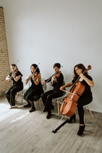 Gallery photo 3 of Boom Island String Quartet