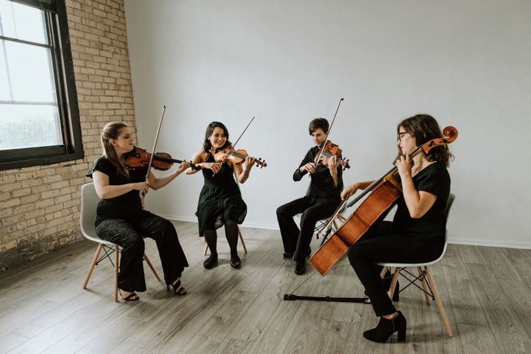 Gallery photo 8 of Boom Island String Quartet