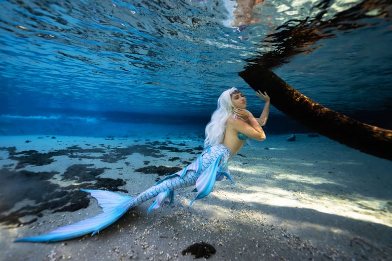 Gallery photo 3 of Mermaid Merisa