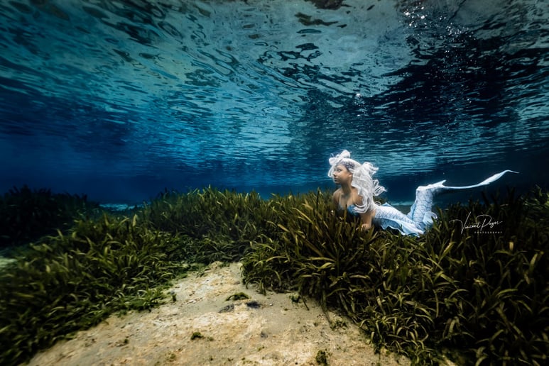 Gallery photo 4 of Mermaid Merisa
