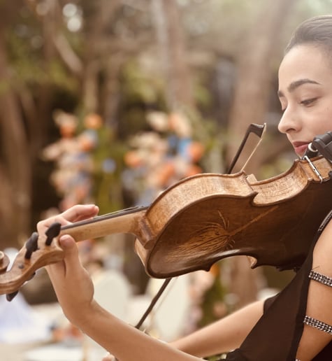 Gallery photo 4 of Hanalei Ritter Strings