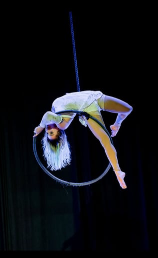 Gallery photo 2 of Cheycirque