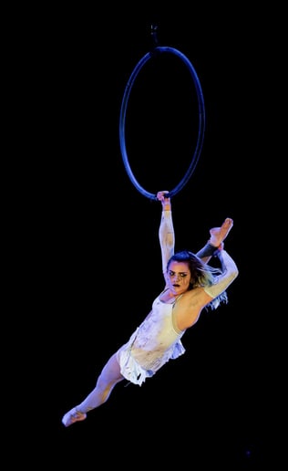 Gallery photo 4 of Cheycirque