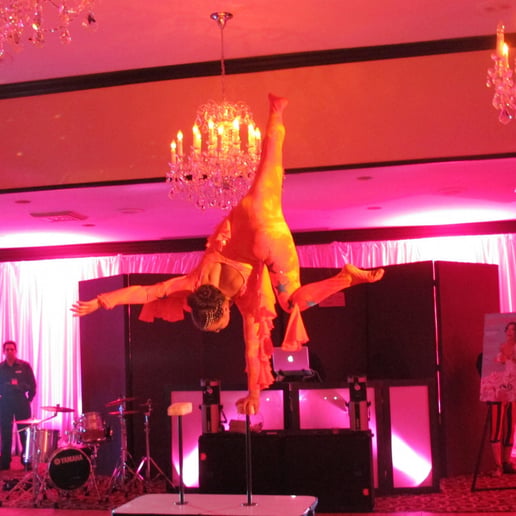Gallery photo 3 of Hand Balancing