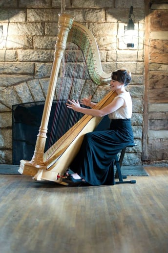 Gallery photo 2 of Hannah Anderson, harpist