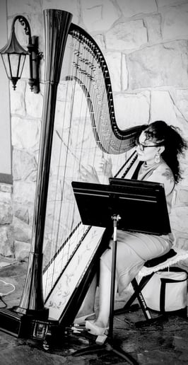 Gallery photo 5 of Hannah Anderson, harpist