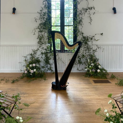 Gallery photo 7 of Hannah Warren, Harpist