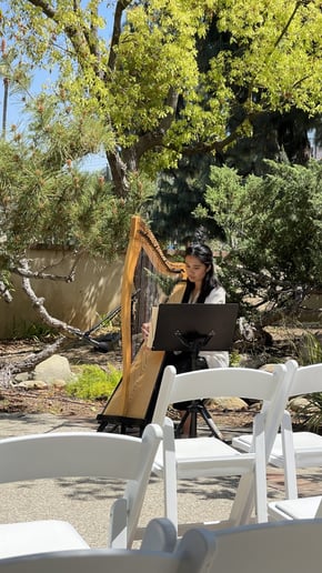 Gallery photo 1 of Hannah's Harp