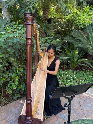 Gallery photo 2 of Hannah's Harp