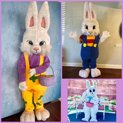 Gallery photo 1 of Happily Ever Parties & Entertainment