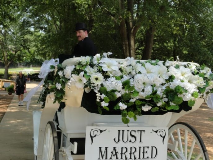 Gallery photo 1 of Happy Trails Horse and Carriage