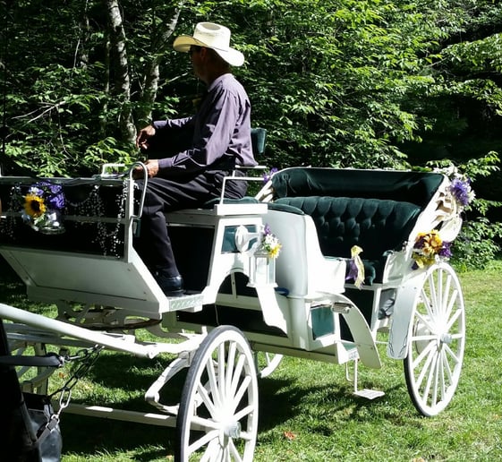 Gallery photo 5 of Happy Trails Horse and Carriage