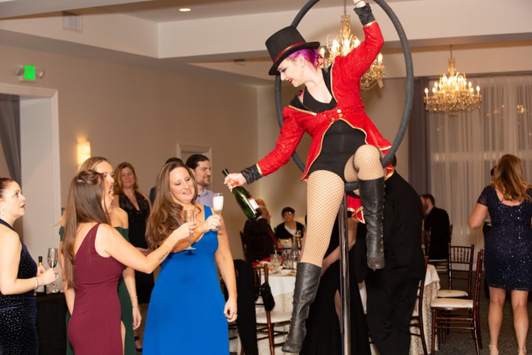 Gallery photo 8 of Skylark Circus Arts