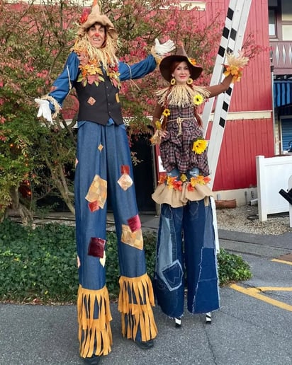Gallery photo 9 of Skylark Circus Arts