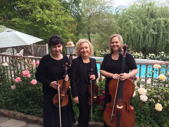 Gallery photo 5 of Harmony Strings