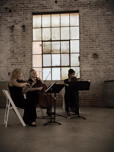 Gallery photo 8 of Harmony Strings