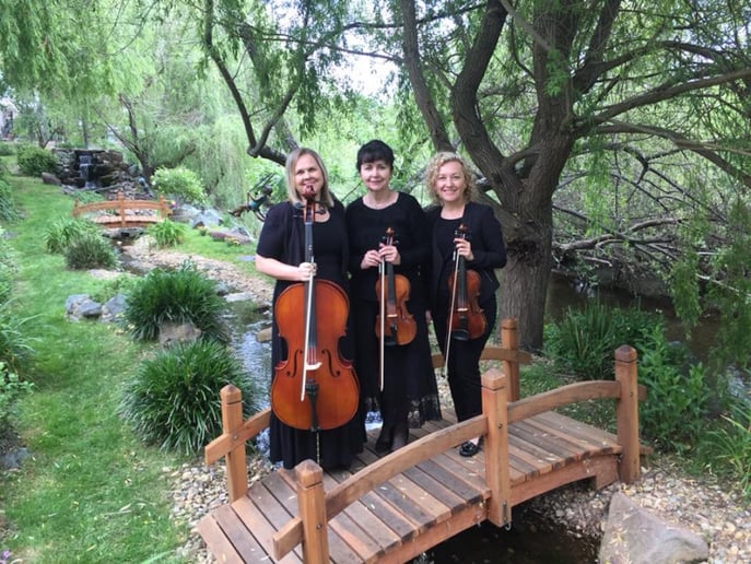 Gallery photo 6 of Harmony Strings