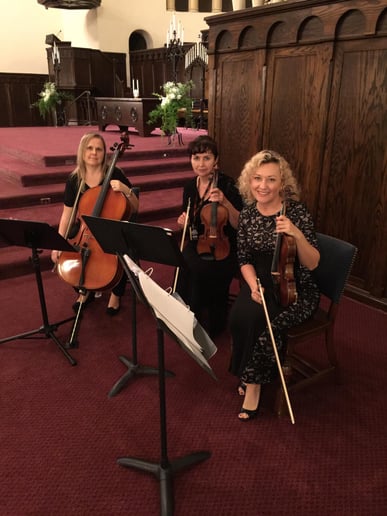 Gallery photo 7 of Harmony Strings