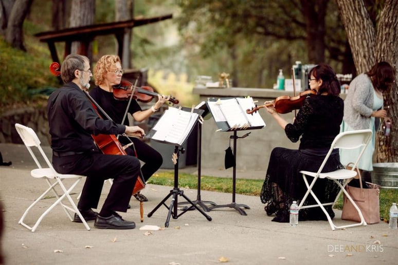 Gallery photo 9 of Harmony Strings