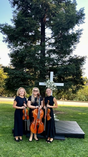 Gallery photo 4 of Harmony Strings