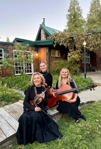 Gallery photo 1 of Harmony Strings