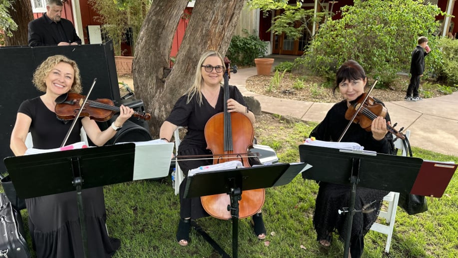Gallery photo 10 of Harmony Strings