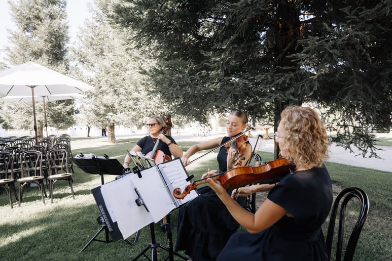 Gallery photo 2 of Harmony Strings