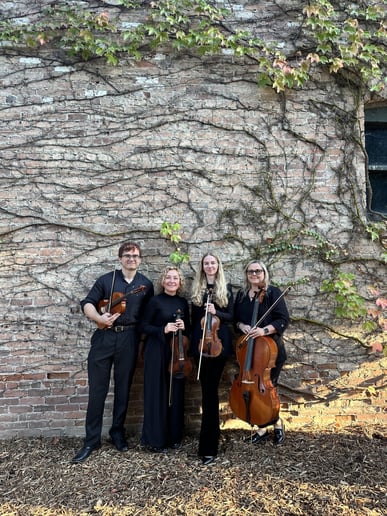 Gallery photo 3 of Harmony Strings