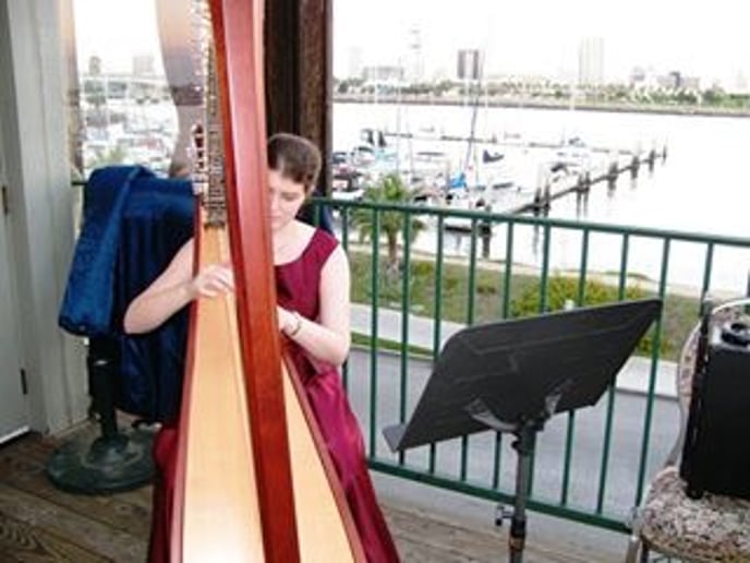 Gallery photo 2 of Harp4all Music
