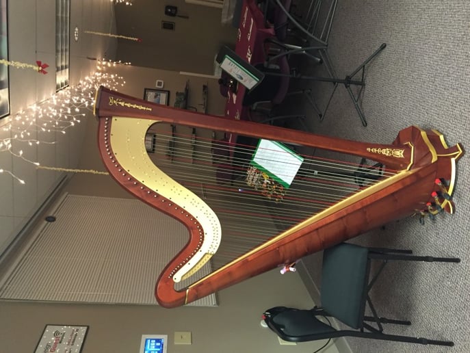 Gallery photo 3 of Harp4all Music