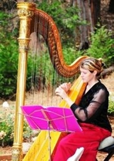 Gallery photo 5 of Harp4all Music