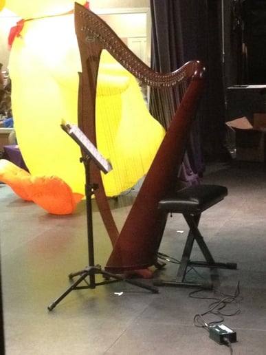 Gallery photo 6 of Harp4all Music