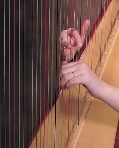 Gallery photo 10 of Harp4all Music
