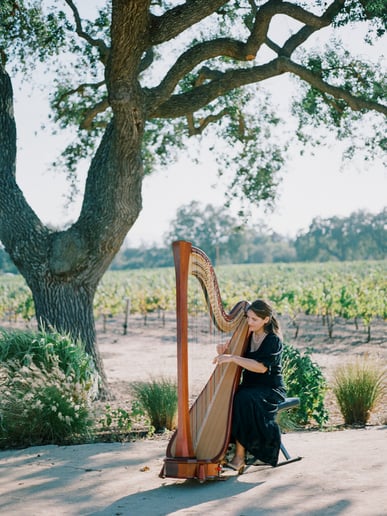 Gallery photo 4 of Harp by Anna