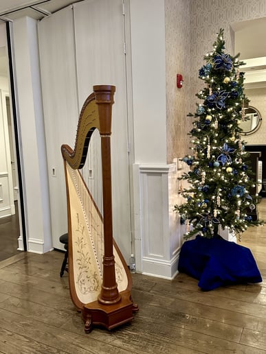 Gallery photo 5 of Harp by Emily Anna