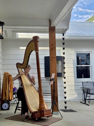 Gallery photo 1 of Harp by Emily Anna