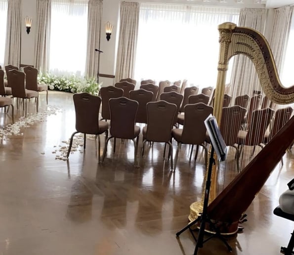 Gallery photo 3 of Harp Dolce
