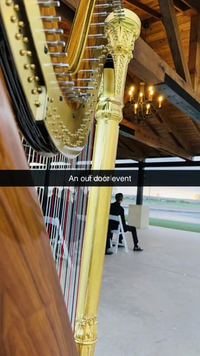 Gallery photo 4 of Harp Dolce