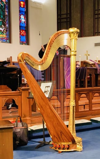 Gallery photo 5 of Harp Dolce