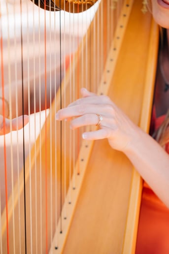 Gallery photo 5 of Harp Music by Chelsey & Harp Associates