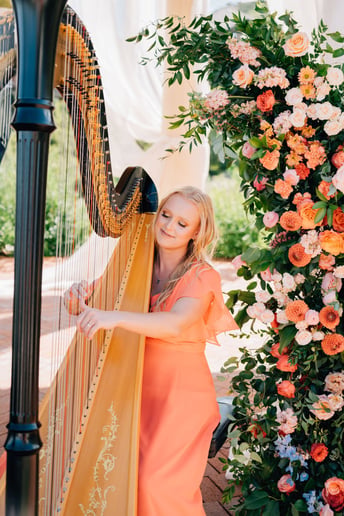 Gallery photo 7 of Harp Music by Chelsey & Harp Associates