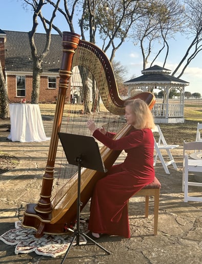 Gallery photo 8 of Harp Music By Laurel