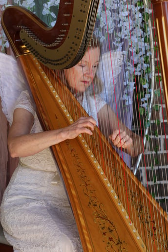 Gallery photo 9 of Harp Music By Laurel